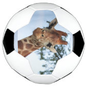 ハッピーキリン接写ワイルドライフサファリ サッカーボール (回転)