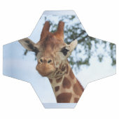 ハッピーキリン接写ワイルドライフサファリ サッカーボール (フラット)