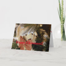 ハッピークリスマスソフトおもちゃ子犬