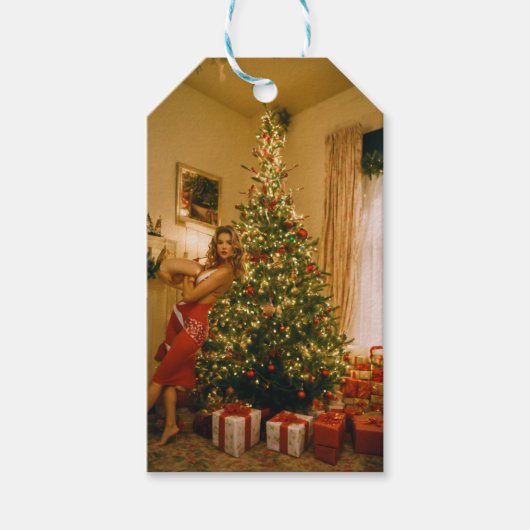 ハッピークリスマスプレゼントラベル ギフトタグ (正面)
