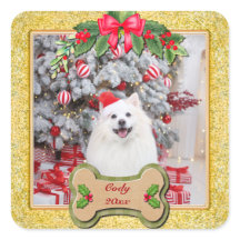 ハッピークリスマス I Woof You オリジナル犬グッズ