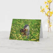 ハッピーグラウンドホッグデイカード！ カード (黄色い花)