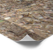 ハッピーグラウンドリス ポスター (角)