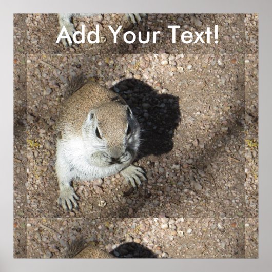 ハッピーグラウンドリス ポスター (正面)