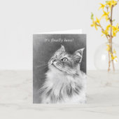 ハッピーケーキデイ! カード (黄色い花)