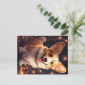 ハッピーコーギクリスマスライト シーズンポストカード (スタンド正面)