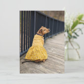 ハッピーゴッチャデイファンシードレスフォトドッグカード サンキューカード (スタンド正面)