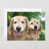 ハッピーゴールデンレトリバードッグ2匹 ポストカード (正面/裏面)