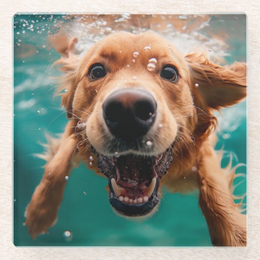 ハッピーゴールデンレトリバー水中スイミング ガラスコースター (正面)