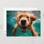 ハッピーゴールデンレトリバー水中スイミング ポストカード (正面/裏面)