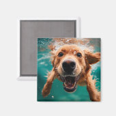 ハッピーゴールデンレトリバー水中スイミング マグネット (正面/裏面)