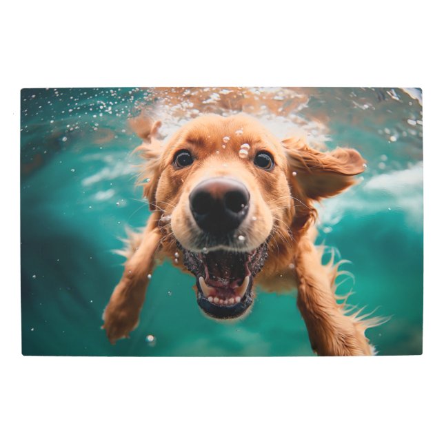 ハッピーゴールデンレトリバー水中スイミング メタルプリント (正面)