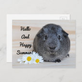 ハッピーサマーギニアピグ ポストカード (正面/裏面)