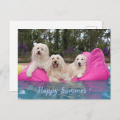 ハッピーサマー！ ポストカード (正面/裏面)