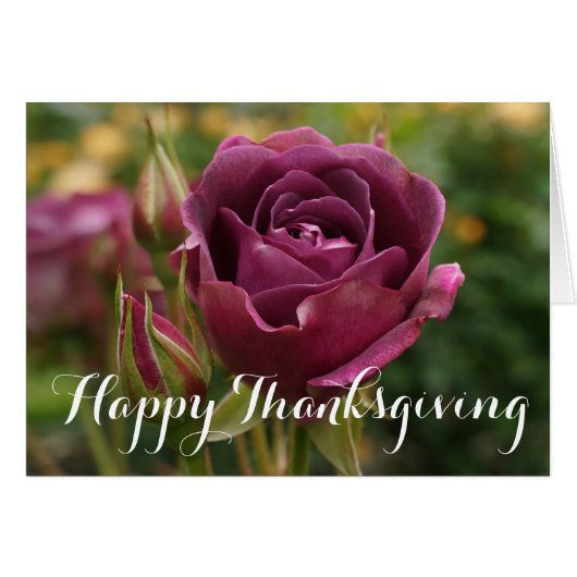 ハッピーサンクスギビングブルガンディ氷山バラ#1-2カード (正面横)