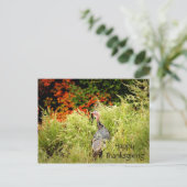 ハッピーサンクスギビングワイルドターキー紅葉 ポストカード (スタンド正面)