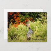 ハッピーサンクスギビングワイルドターキー紅葉 ポストカード (正面/裏面)