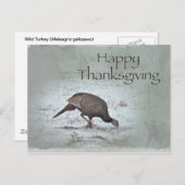 ハッピーサンクスギビングワイルドターキー シーズンポストカード (正面/裏面)
