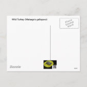 ハッピーサンクスギビングワイルドターキー シーズンポストカード (裏面)