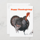 ハッピーサンクスギビングヴィンテージトルコスケッチ シーズンポストカード (正面/裏面)