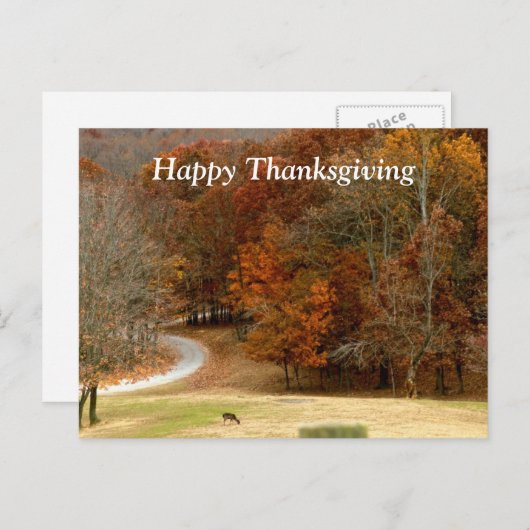 ハッピーサンクスギビング秋写真秋樹鹿 シーズンポストカード (正面/裏面)