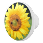 ハッピーサンフラワーセラミックノブ セラミックノブ (右)