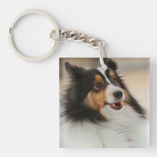 ハッピーシェルティサッカーボール キーホルダー (正面)