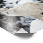 ハッピーシープファミリー フォトプリント            (角)