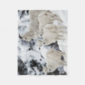 ハッピーシープファミリー フリースブランケット (正面)