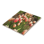 ハッピージェネレーションチューリップ タイル (側面)