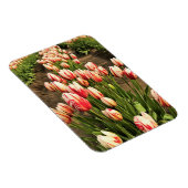 ハッピージェネレーションチューリップ マグネット (右側)