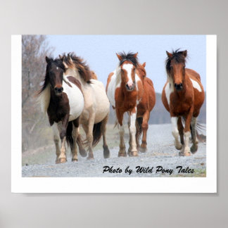 ハッピージョガー ポスター