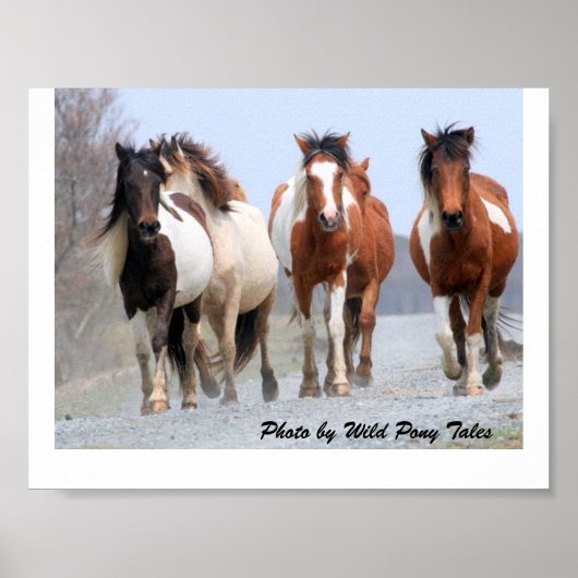 ハッピージョガー ポスター (正面)