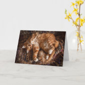 ハッピージンジャーネコ誕生日カード カード (黄色い花)