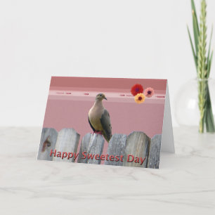ハッピースウィートデイラブ鳩 カード