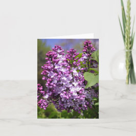 ハッピースプリング サンキューカード