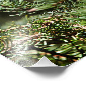 ハッピースプルース フォトプリント            (角)