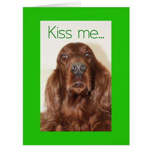 ハッピーセントパトリックの日 (正面)