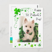 ハッピーセントパトリックの日、ウェスティードッグは準備ができている ポストカード (正面/裏面)
