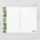 ハッピーセントパトリックスの日 ポストカード (裏面)