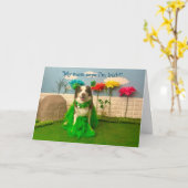 ハッピーセントパトリックデー カード (黄色い花)