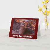 ハッピータウ救ワイルドライフグリーティングカード カード (黄色い花)