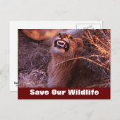 ハッピータウ救ワイルドライフポストカード ポストカード (正面/裏面)