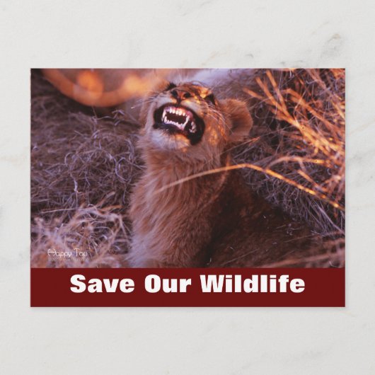 ハッピータウ救ワイルドライフポストカード ポストカード (正面)