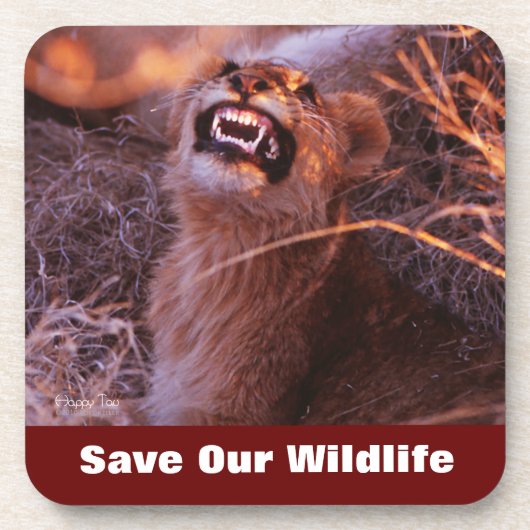 ハッピータウ救私たちの野生動物 コースター (正面)