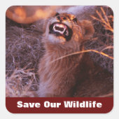 ハッピータウ救私たちの野生動物 スクエアシール (正面)