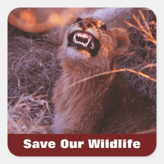 ハッピータウ救私たちの野生動物 スクエアシール (正面)