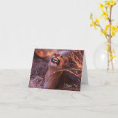 ハッピータウ カード (黄色い花)