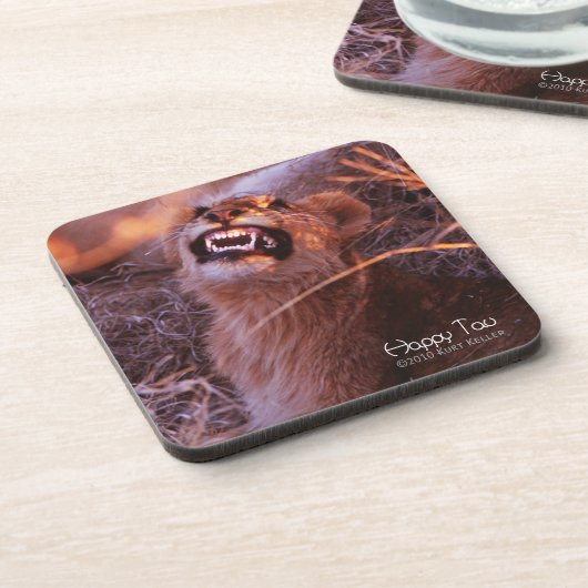 ハッピータウ コースター (左側)