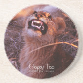 ハッピータウ コースター (正面)